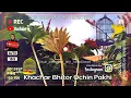 Download Lagu Khachar Bhitor Ochin Pakhi | HD | Cover Song | Sur Sangam - My heartbeat @saregamabengali