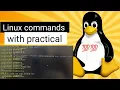 Top 7 Essential Linux Commands for Beginners ls cd mkdir touch vi nano cp Explained