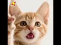 Download Lagu \
