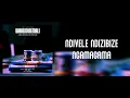 Zilimbola Inkanyamba - UBABENDINEMALI (feat. China Ching-Chong) lyrics