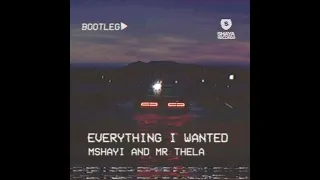 mshayi u0026 mr thela everything i wanted