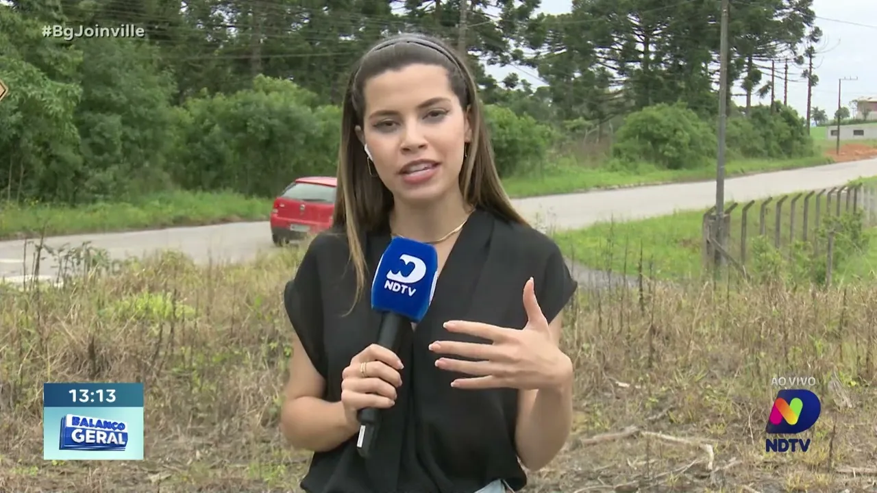 Rio Negrinho: chuva e vento forte causam estragos na agricultura e residências