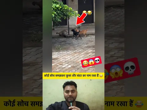 इनकी हरकत से इन जानवरो का नाम पड़ा हैं 😂 #shorts #monkey #dog #animals #funny #viralshorts #facts