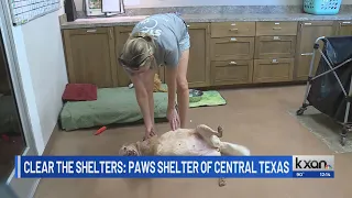 Clear the Shelters PAWS helping pets unite with their next family