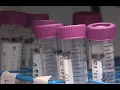 TriHealth to offer rapid response coronavirus tests starting Friday