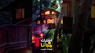 قرآن كريم حالات واتس اب انستقرام تيك توك راحة نفسية 