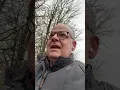 Weather Walks - How you can instantly estimate wind speed