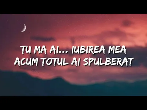 Download MP3 Mihaita piticu-ploua (lyrics)