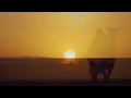 Journey Through the Arabian Night: Exotic Instrumental Music 🌴🌙 | Desert Dreams