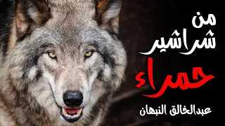 زامل وشيلة من شراشير حمراء عبدالخالق النبهان مع الكلمات 