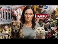 Download Lagu Kaimynė iš pragaro - kankinami ir žmonės, ir gyvūnai