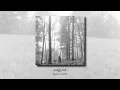 august - Taylor Swift (audio)