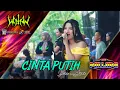 Download Lagu CINTA PUTIH - Intan Afifah - New Pallapa Live Wotan - Ramayana Profesional Audio