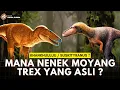 Download Lagu Spesies Baru yang Mengubah Asal Usul T-Rex Selamanya!