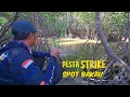 Download Lagu Kembali MANCING di muara hutan bakau,mencari banyak strike ikan 
