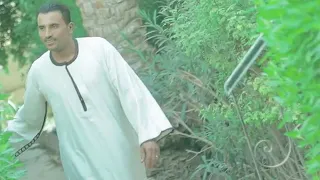 كوكب الصعيد محمود سليم اغنيه العبايه السوده دندنها