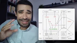 084 - Degradação vs. Fermentação