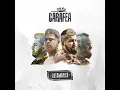 Que Me Has Hecho Chacarera - Carafea