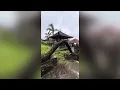 Download Lagu Abandod Ghost palace in Bali, Indonesia