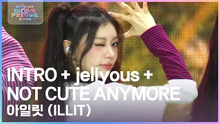 intro jellyous not cute anymoree illit 2025 in japan kbs 251230 