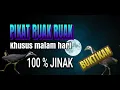 Download Lagu suara pikat ruak ruak malam