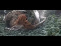 Download Lagu Best Scene 47 Ronin - Killing myth creature