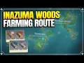 All Inazuma Woods Farming Route - Wood Locations