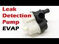 Leak Detection Pump Replacement on BMW E46 330XI EVAP System Code P2402