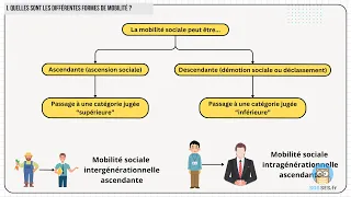 Quelles sont les caractéristiques et les facteurs de la mobilité sociale ? [Partie 1/4]