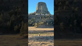 Tiny Guardians of Devils Tower 😁