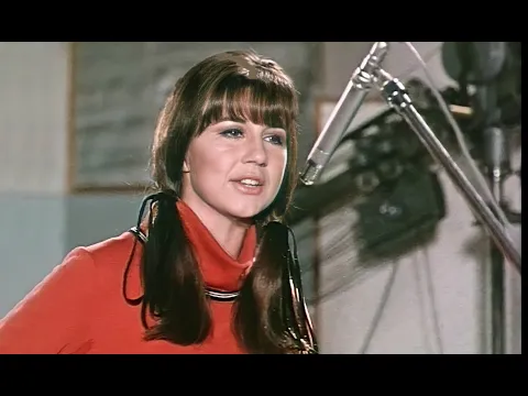 Download MP3 The Seekers - I'll Never Find Another You (HQ Stereo, 1964/'68)