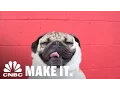How Doug The Pug Rose To Internet Stardom CNBC Make It