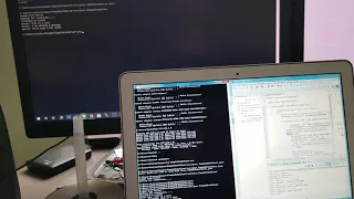 Simple Echo Server and Client