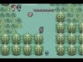 Pokemon Ruby Hack