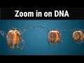 Download Lagu Zoom in on DNA | biology animations