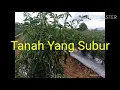 Download Lagu Kerinci Sekepal Tanah Surga