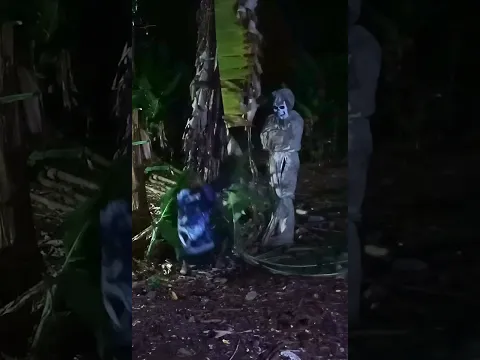 Cewek parah !! temennya di kasih Pocong Bikin Ngakak  #short #pocongsensasi #videolucu #exposecisoka