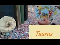 Taurus LOVE IS IN THE AIR Prepare To Find Out How Much They Love You Taurus YOUR SOULMATE August