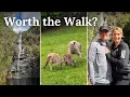 Lagu Easy Scenic Walks Near Adelaide! Mount Lofty Botanic Garden \u0026 Waterfall Gully!