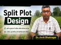 Split Plot Design