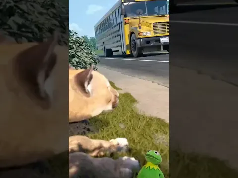 School Bus got Attacked by a Lion 😨