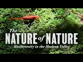 The Nature of Nature Biodiversity in the Hudson Valley