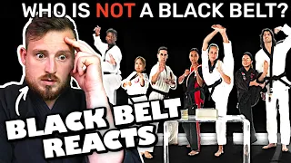 Download Who is the FAKE Black Belt! Karate Teacher Reacts MP3