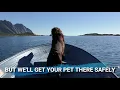 Taxi My Pet - Pet Taxi Service in Abilene Texas