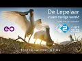 Download Lagu Intro film: De lepelaar in een roerige wereld
