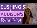 Cushings and Addisons Nursing Addison s Disease vs Cushing s Syndrome Nursing Endocrine NCLEX