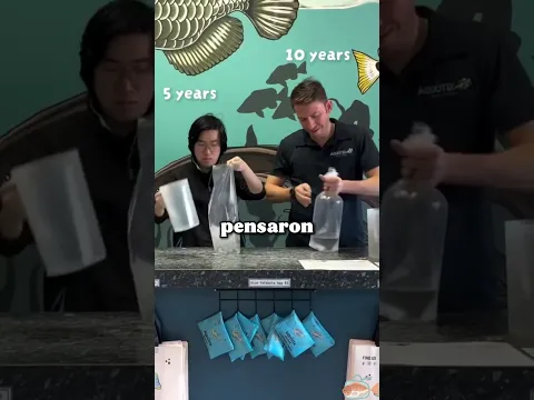¿Quien gana el desafío de bolsa de peces? 😱🐟