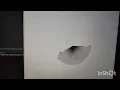 Draw a ninja design using python turtle