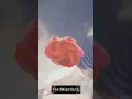 Creative coding - Generative Art pt 1