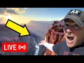 JLR INVESTIGATES is live